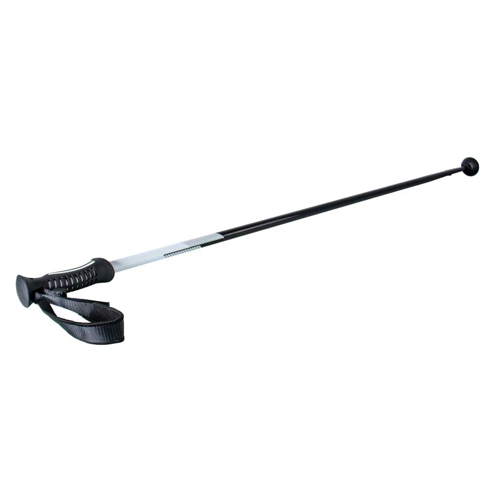Annox Spike Skistave