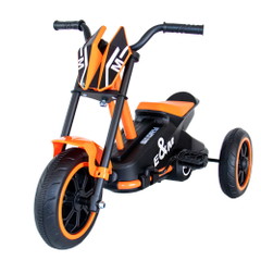 Story GoGo Tricycle