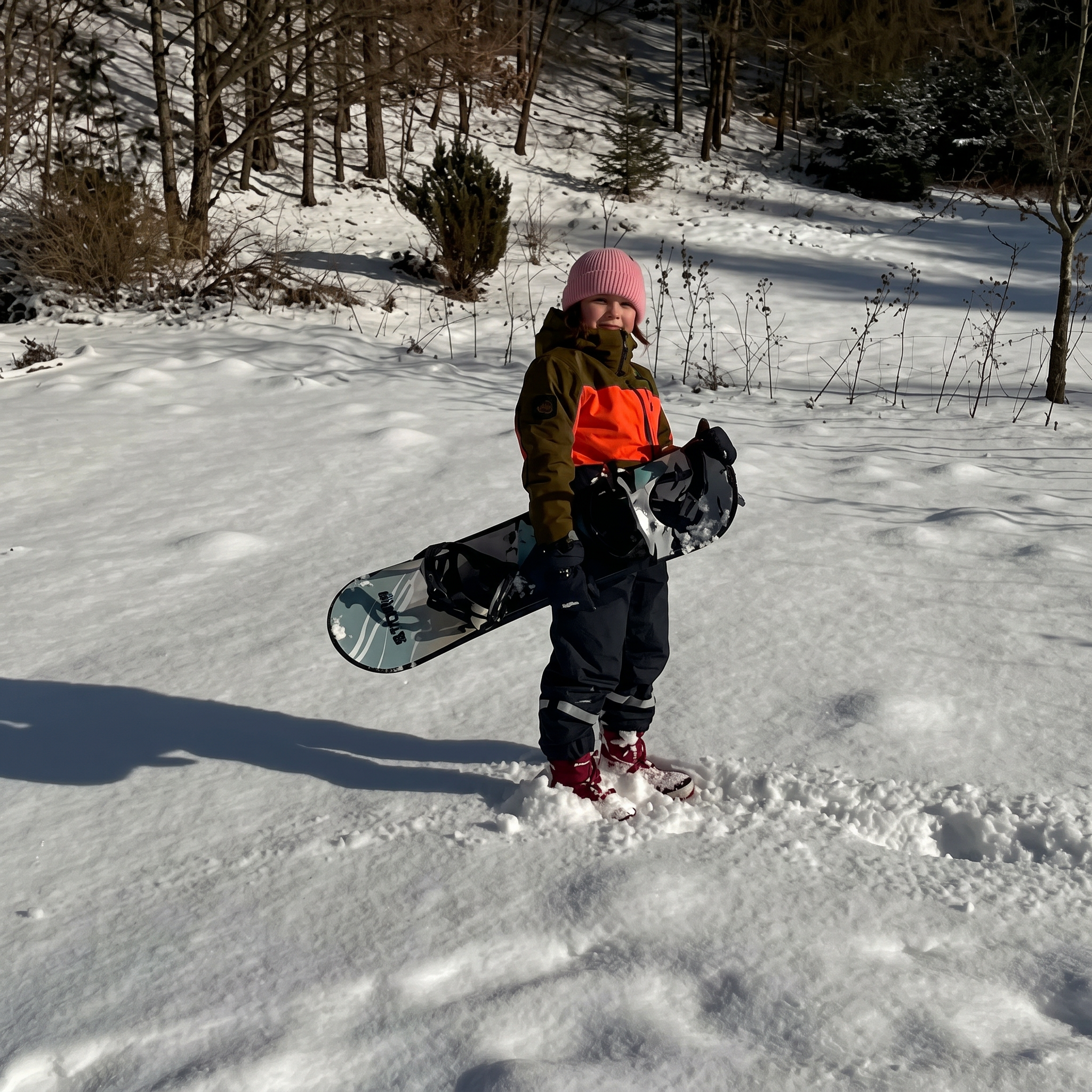 Story Snowboard
