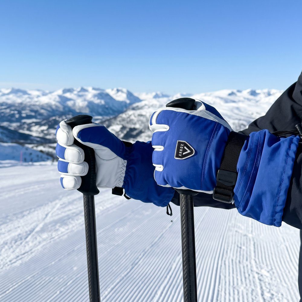 Annox Alpine Læder Skihandsker