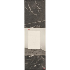 Globe Skateboard Griptape