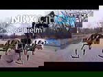 NKX City Bicycle Helmet